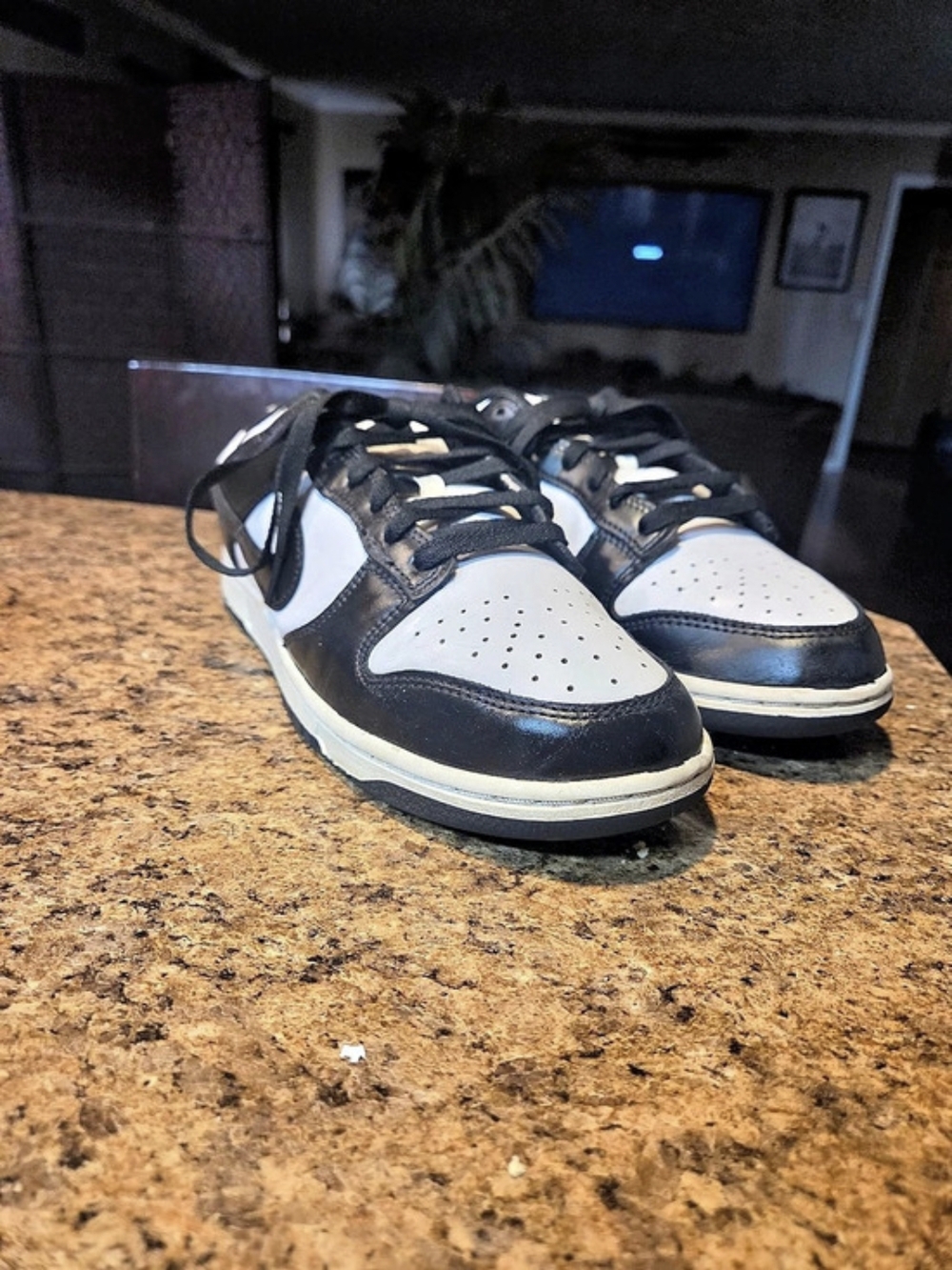Nike Dunk Low Sneakers Black & White US 8